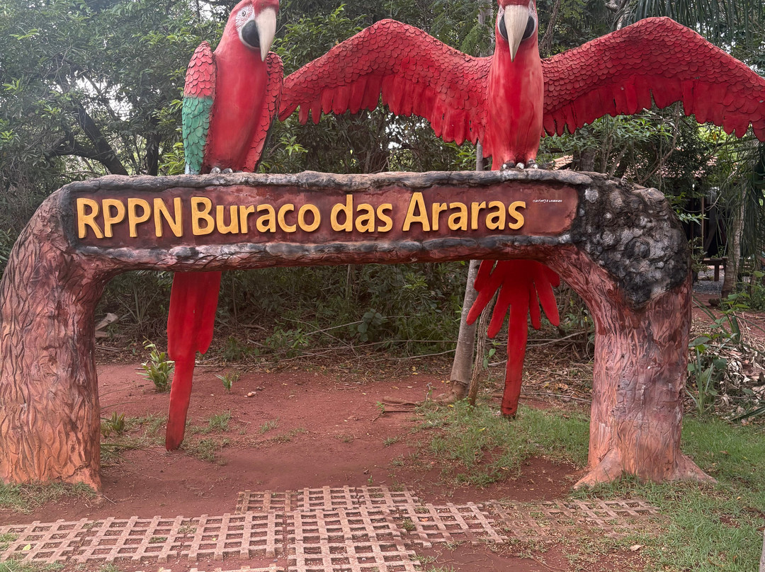 Buraco das Araras Ecoturismo-雅尔丁必去景点