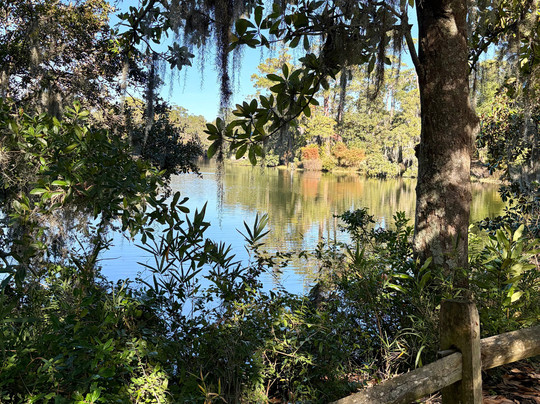 Airlie Gardens-威尔明顿必去景点
