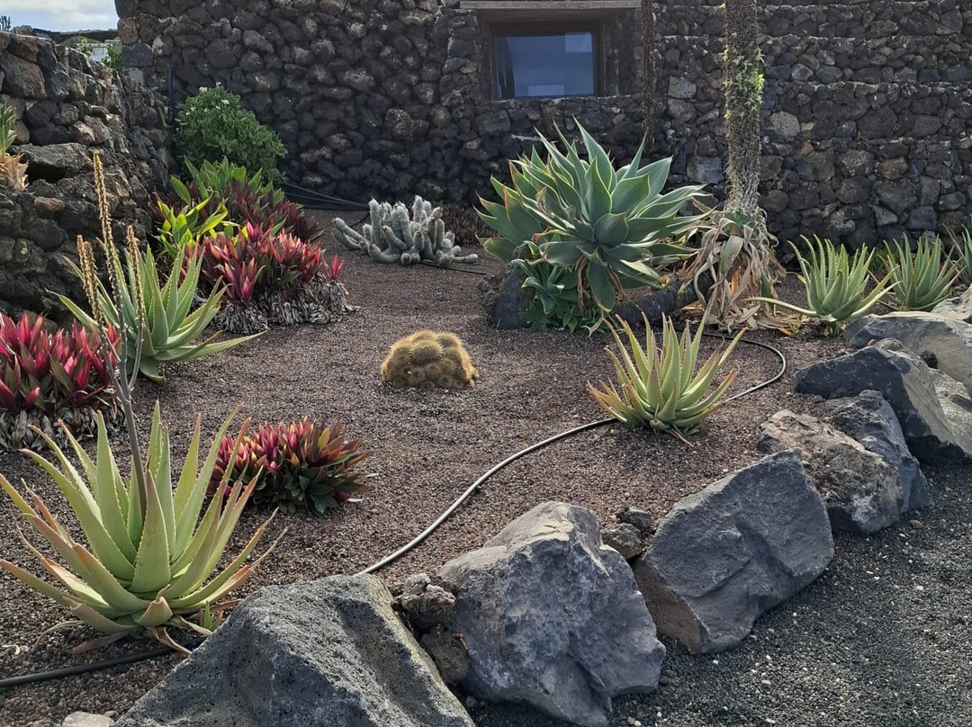 Lanzaloe-兰萨罗特必去景点