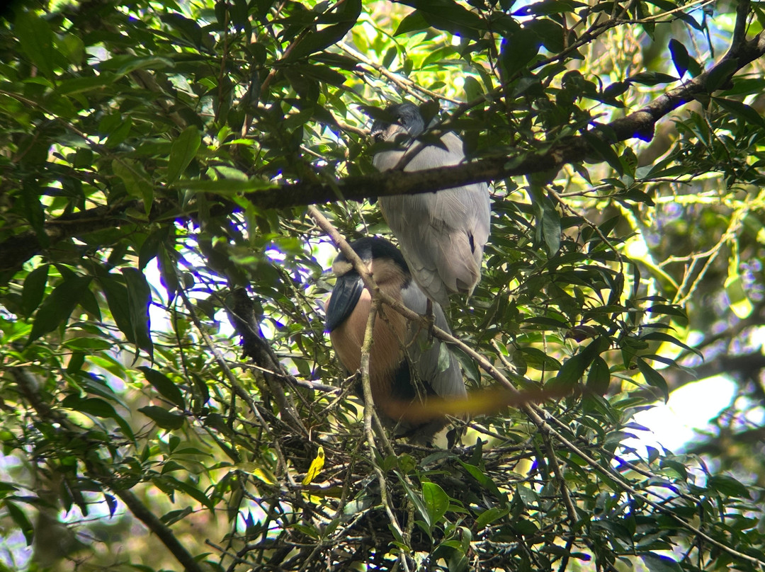 Ecogarden Arenal Family Project-福德圣卡洛斯必去景点