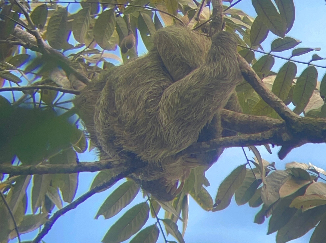 Ecogarden Arenal Family Project-福德圣卡洛斯必去景点