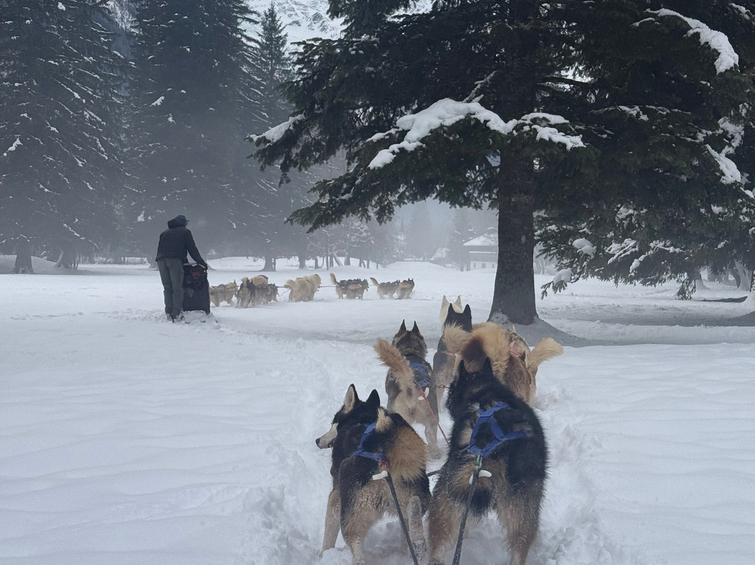 Huskydalen-霞慕尼必去景点
