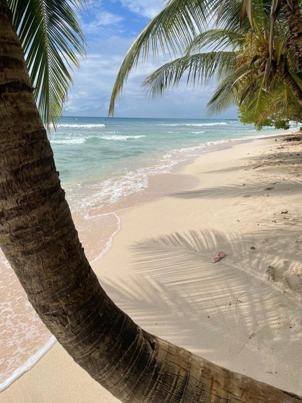 萨瓦纳酒店-官方