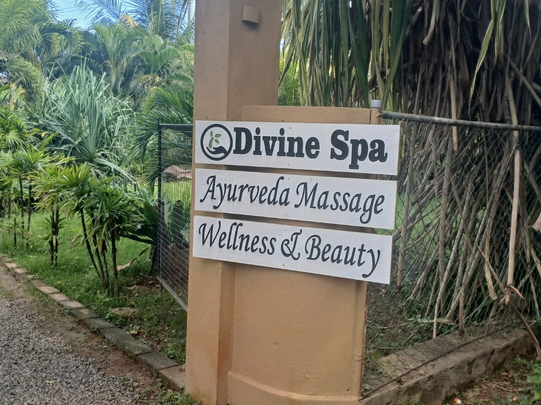 Divine Spa-Rekawa必去景点