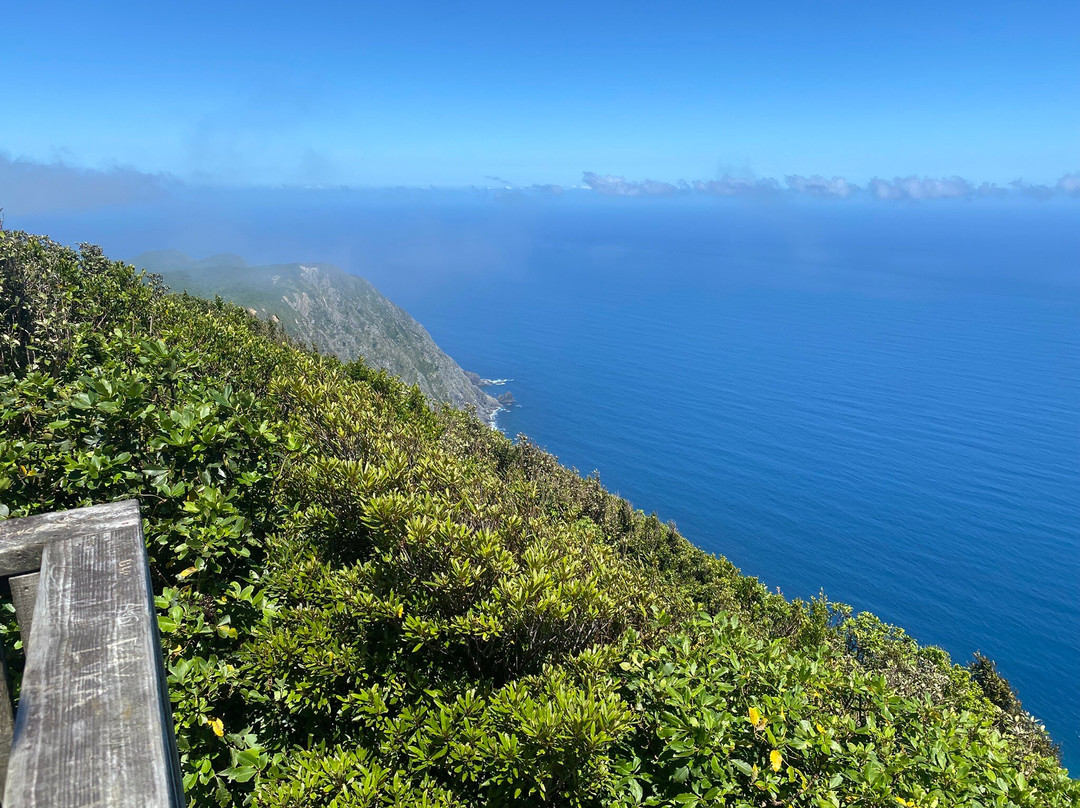 Kapiti Island Eco Experience-帕拉帕拉乌姆必去景点