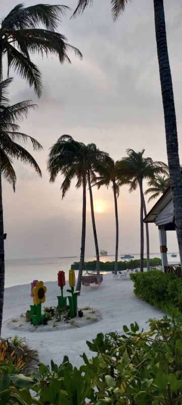 Joy Island Maldives by Cocoon Collection-泳池