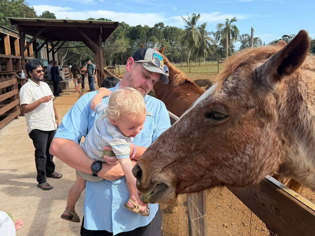 Kauai Plantation Railway-利胡埃必去景点