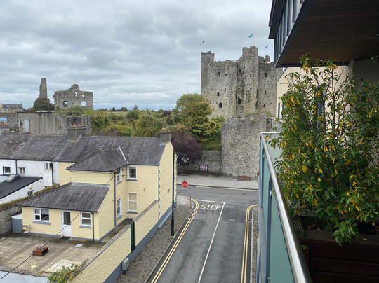 特瑞姆城堡酒店主图