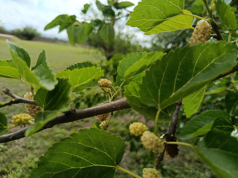 芬卡维特因特酒店主图