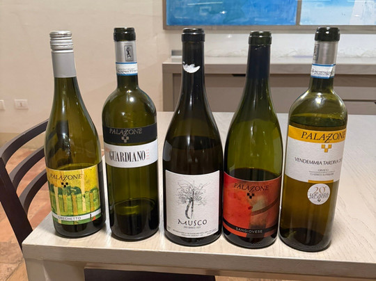 Azienda Agricola Palazzone-奥尔维耶托必去景点