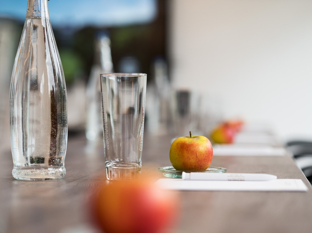 埃姆斯塔勒霍赫公园酒店主图