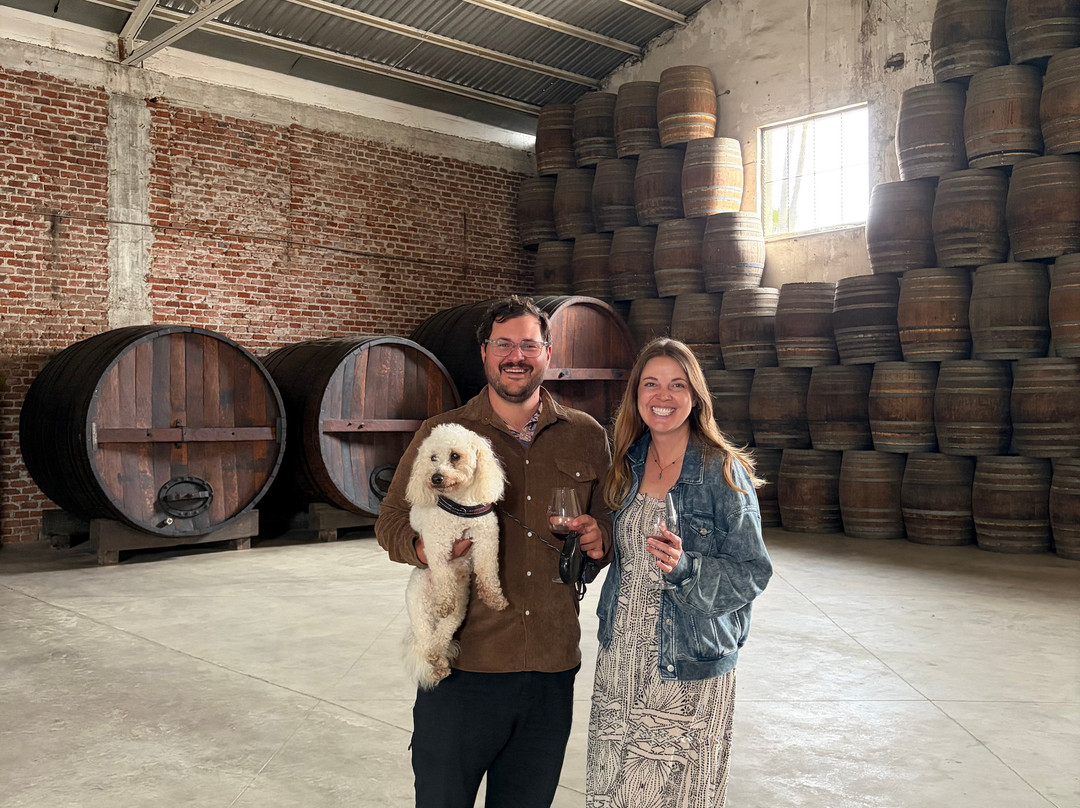 Bodegas De Santo Tomás-恩塞纳达必去景点