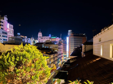 普雷西亚多斯酒店主图