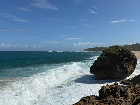 Survival Beach-Aguadilla必去景点