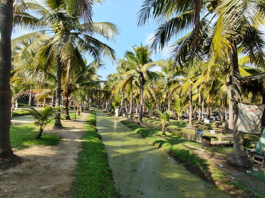 椰子市场-卡帕阿必去景点