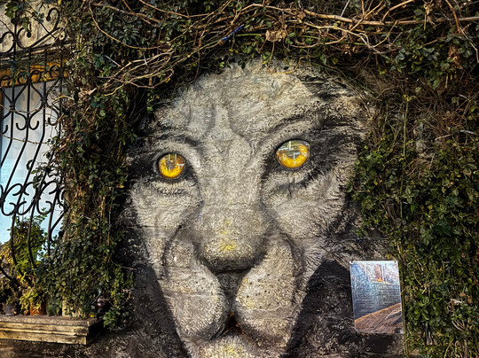 ATI Travel-Mardakan必去景点