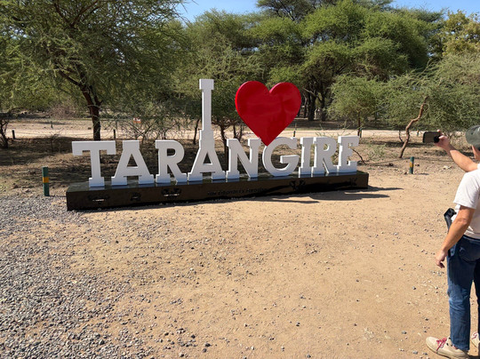 Jaynevy Tours-莫西必去景点