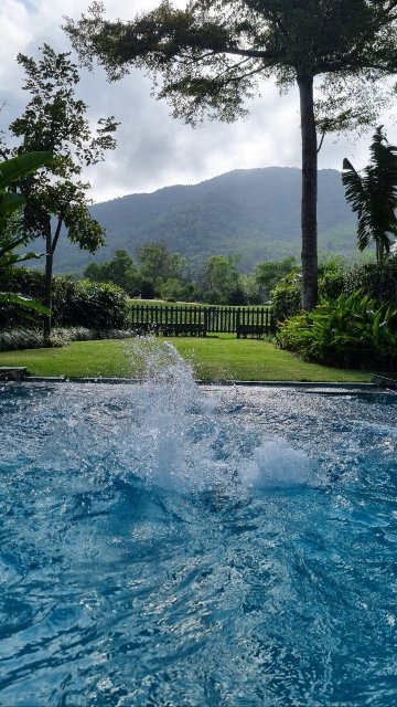 Laguna Lang Co-官方