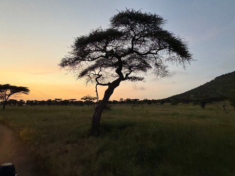 歌珊地非洲游猎之旅-阿鲁沙必去景点
