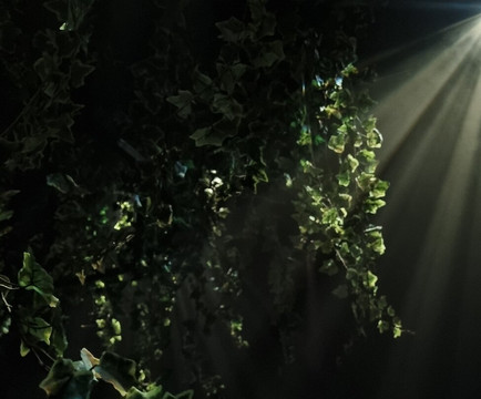 Moir - The Museum Of Infinite Realities-布鲁塞尔必去景点