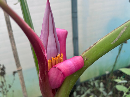 The Bug Parc-Lenwade必去景点