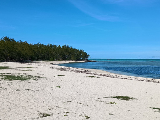 Apollon Cruise-Palmar必去景点