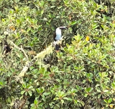 Andes Adventure-萨伦托必去景点