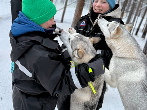 Happy Huskies-伊瓦洛必去景点