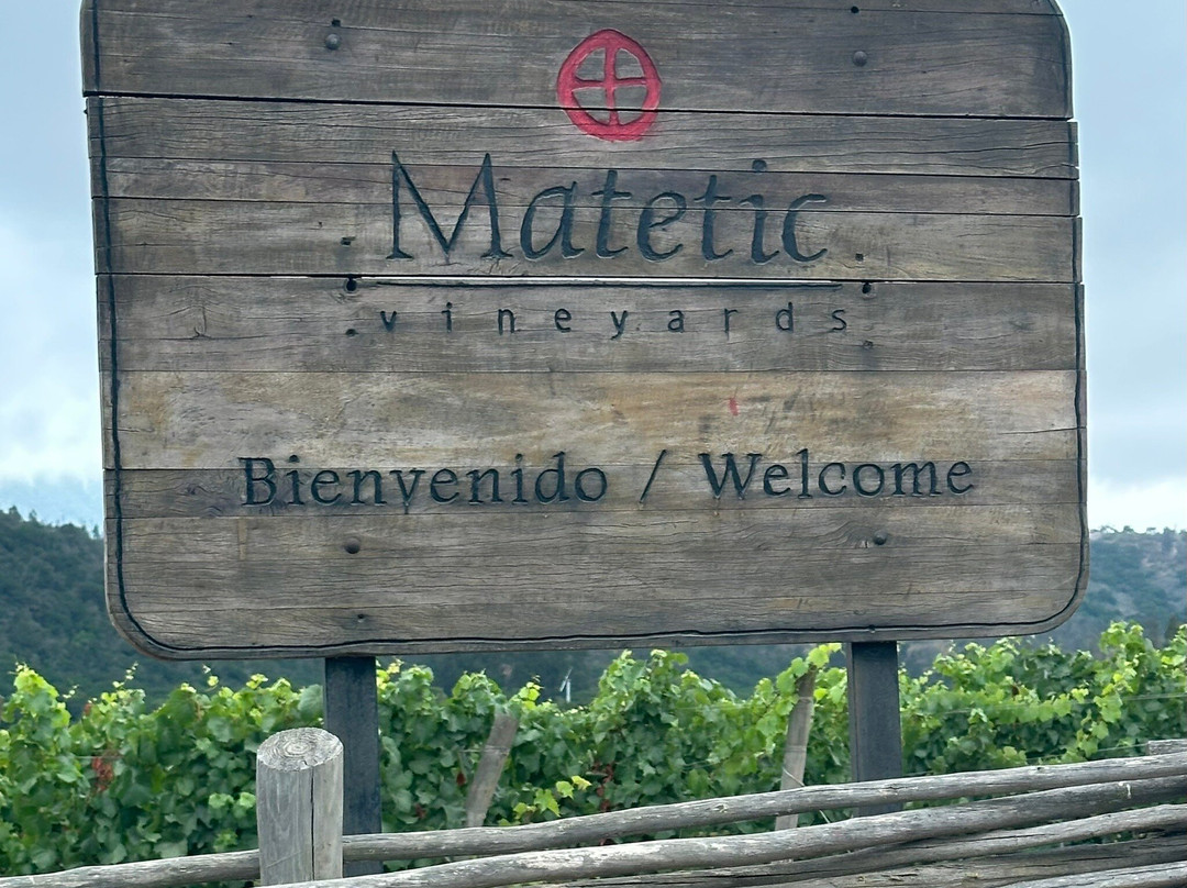 马特提克葡萄园卡索纳酒店主图