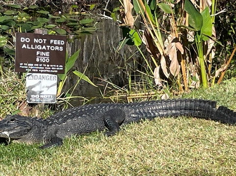 Clyde Butcher's Big Cypress Gallery-奥乔皮必去景点