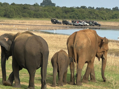 C&C travel Sri Lanka-Minuwangoda必去景点