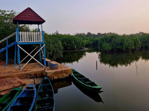 Kotu Bridge (Bird watching)-塞瑞库达必去景点