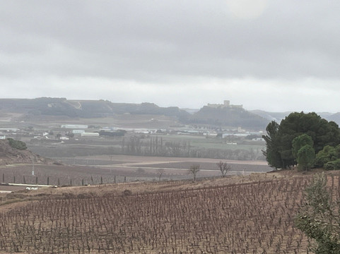 Bodegas Comenge-Curiel de Duero必去景点