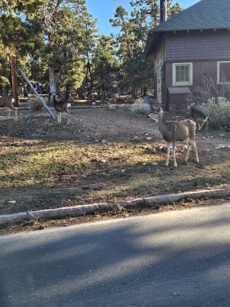 玛斯威克旅馆-官方