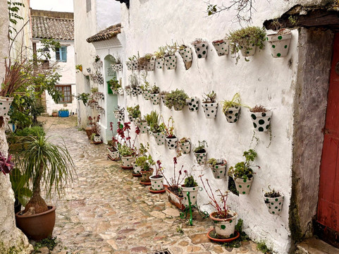 Castillo de Castellar de la Frontera-Castellar de la Frontera必去景点