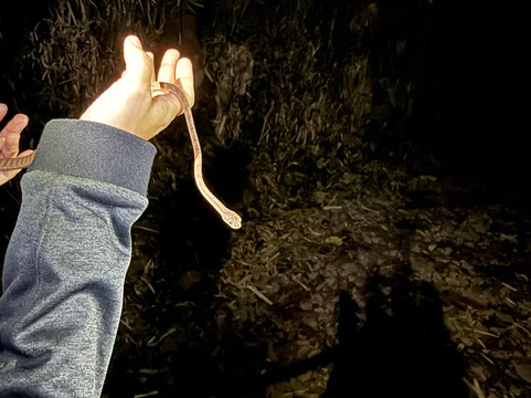 Seribu Waterfall-茂物必去景点