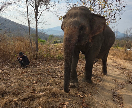 摆镇骑象-拜县必去景点