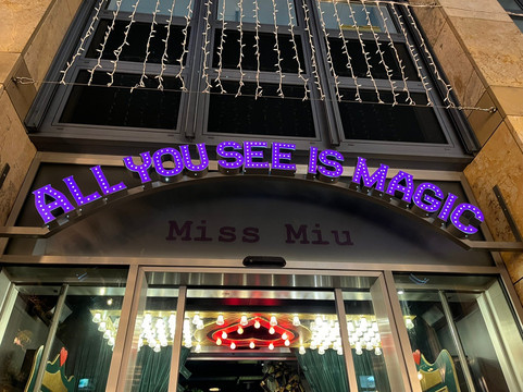 Miss Miu Zug Metalli