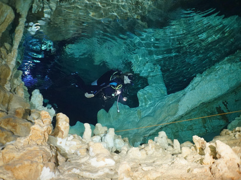 Pasku Dive-普拉亚德尔卡曼必去景点