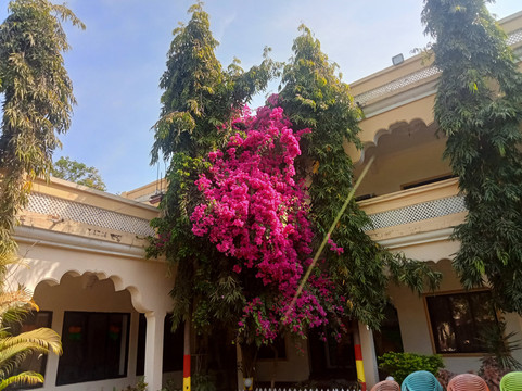 火烈鸟度假村主图