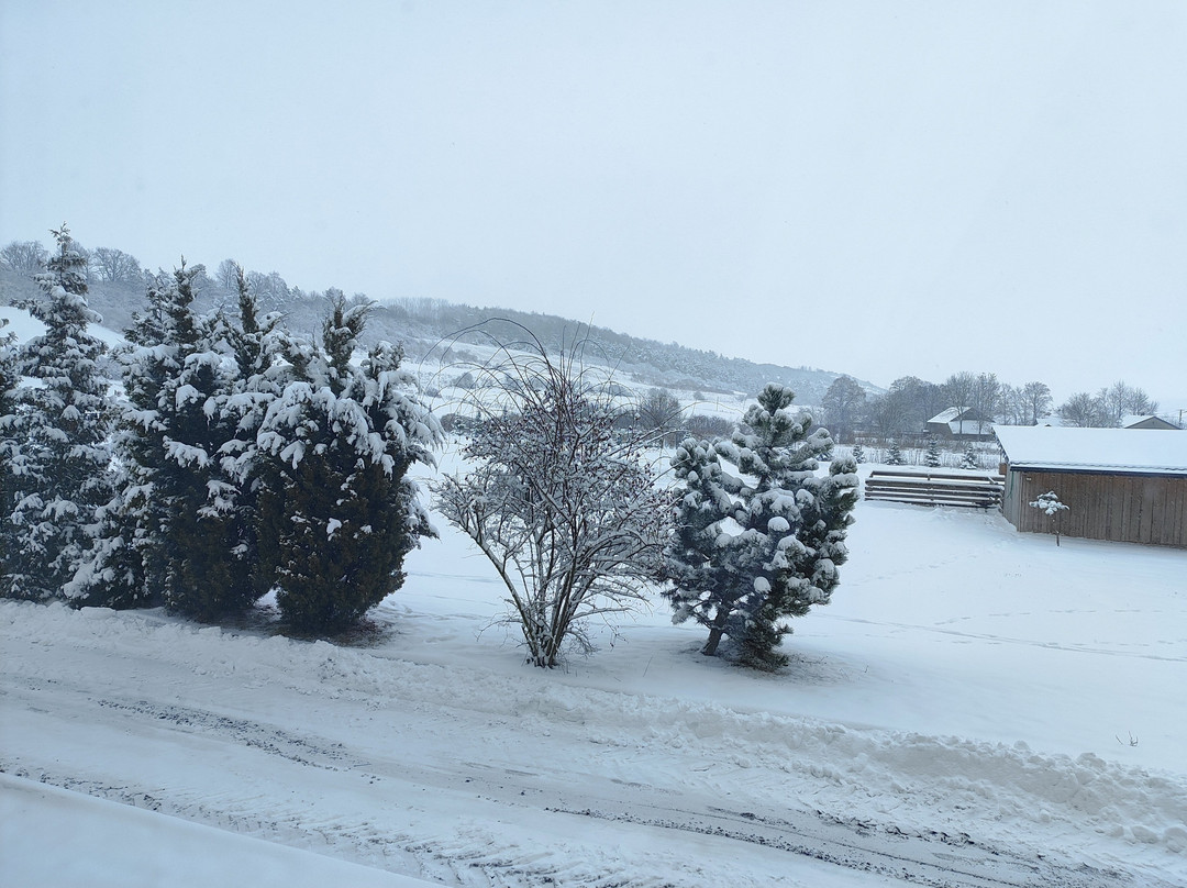 多斯隆斯度假村健康与农场主图