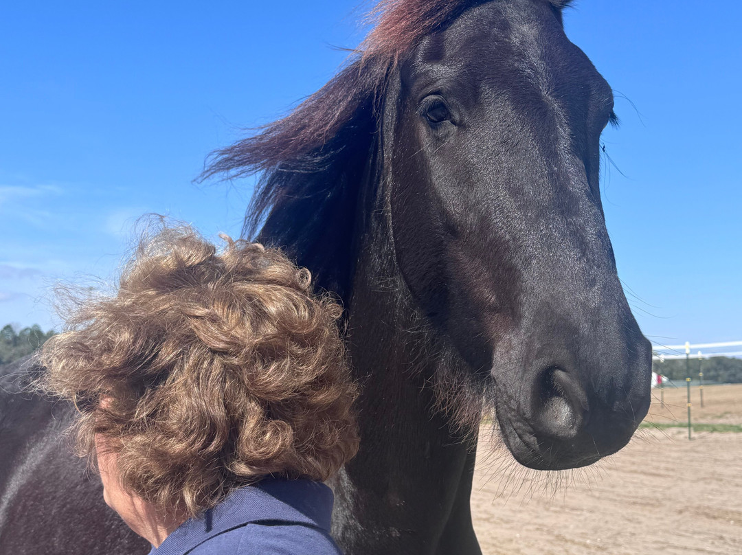 Rancho Reposo Llc-Morriston必去景点