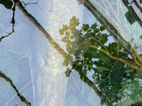 丹麦国家水族馆-哥本哈根必去景点