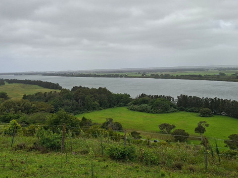 Two Figs Winery-Shoalhaven必去景点