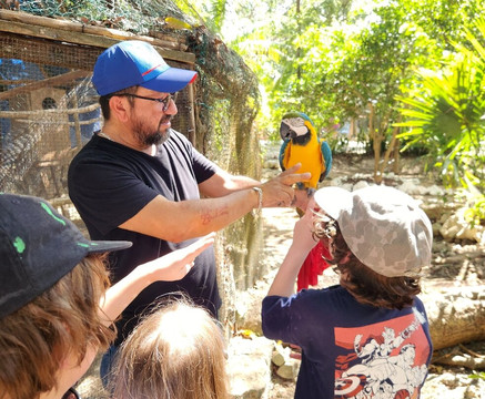 Akumal Natura Rescue-艾库玛尔必去景点