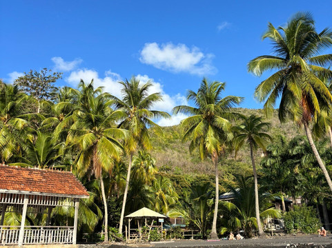 Anse Noire-Les Anses d'Arlet必去景点