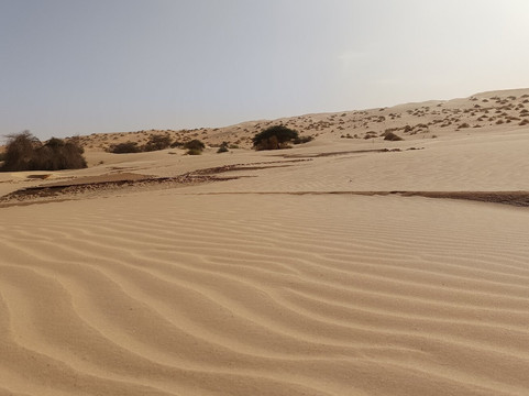 Atar Voyages-Atar必去景点