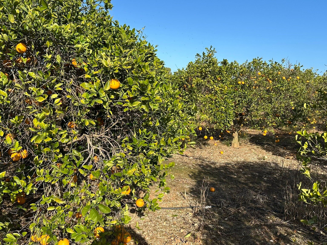 Via Verde de Denia-德尼亚必去景点