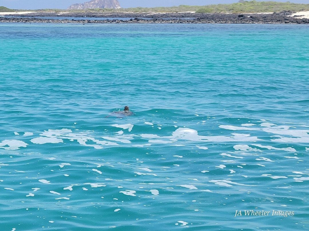 Galapagos Blue Evolution-Puerto Baquerizo Moreno必去景点