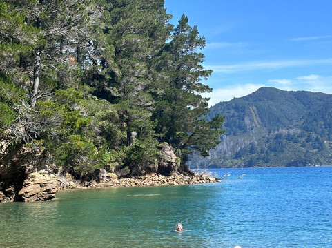 Tawa Cove Cabins-Endeavour Inlet必去景点